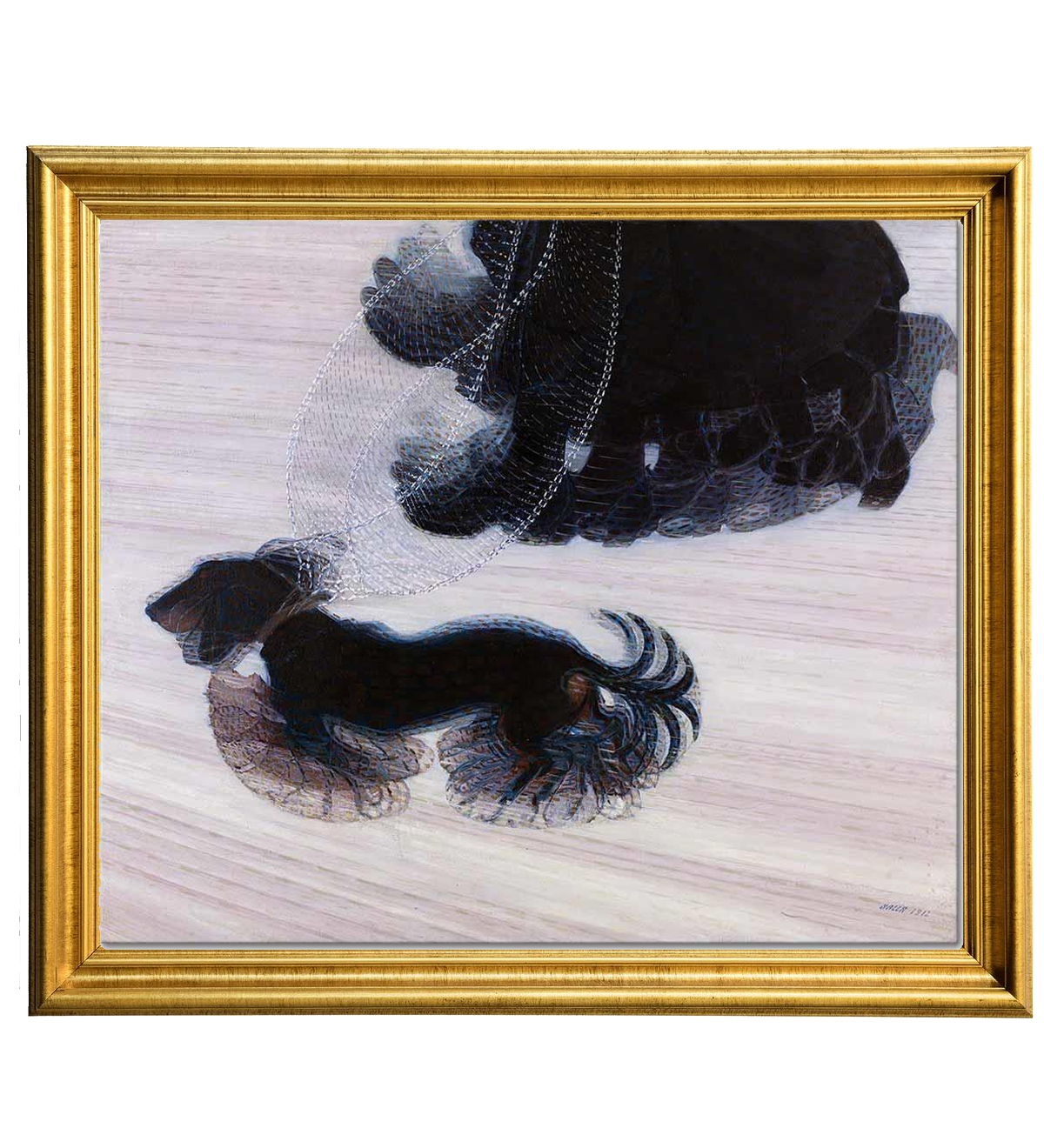 dog on a leash